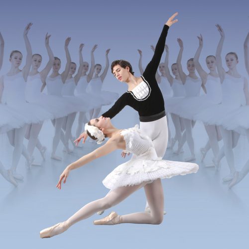 Schwanensee 2019 Interdance Münster