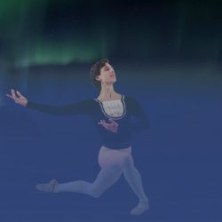 Interdance Münster Schwanensee Header 2