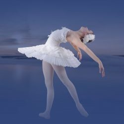 Interdance Münster Schwanensee Header 3