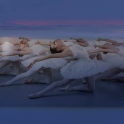 Interdance Münster Schwanensee Header 4