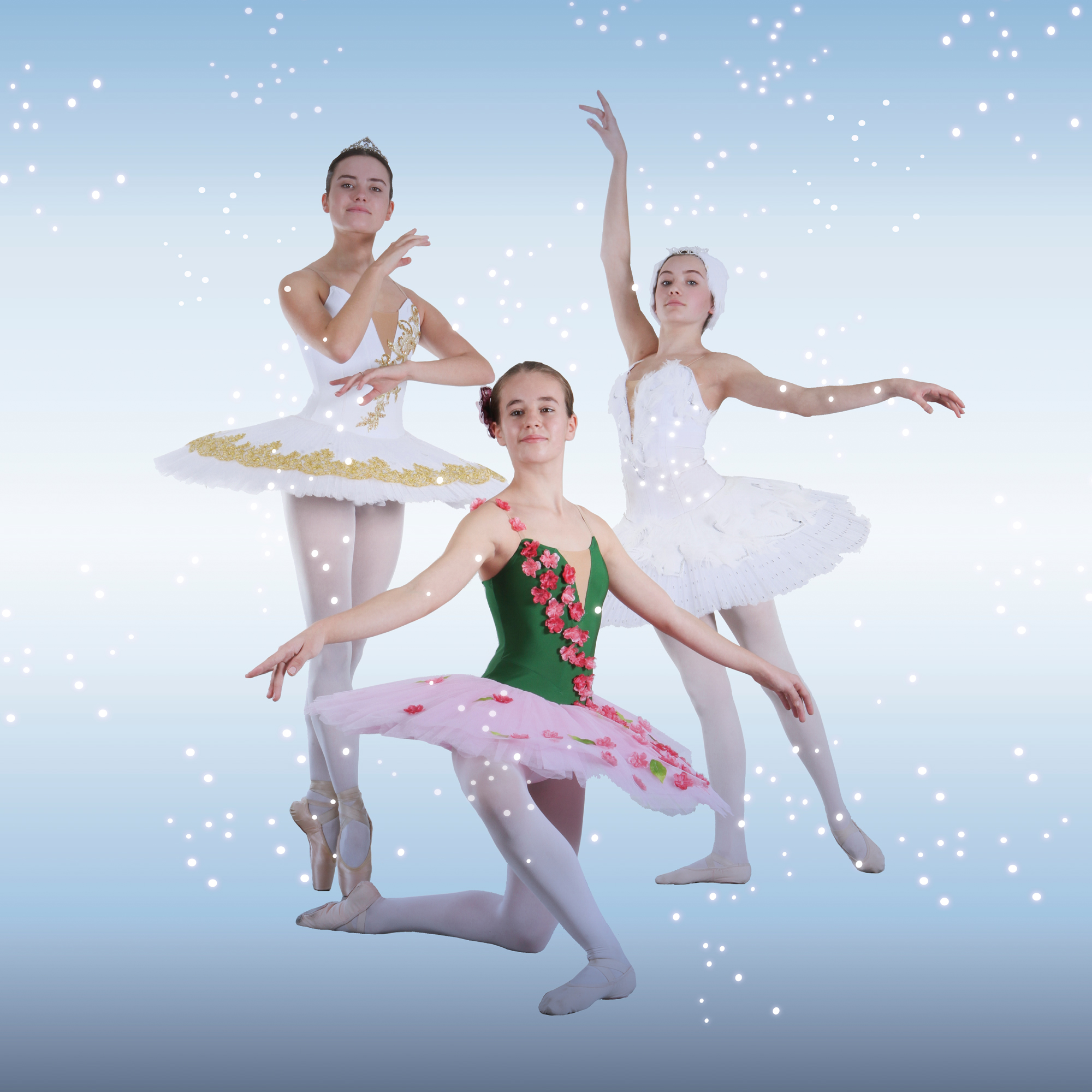 Plakat Winter 2021 11 Internetseite