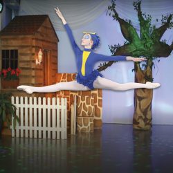 20220513 Internetseite_Peter und der Wolf 2022 Vogel