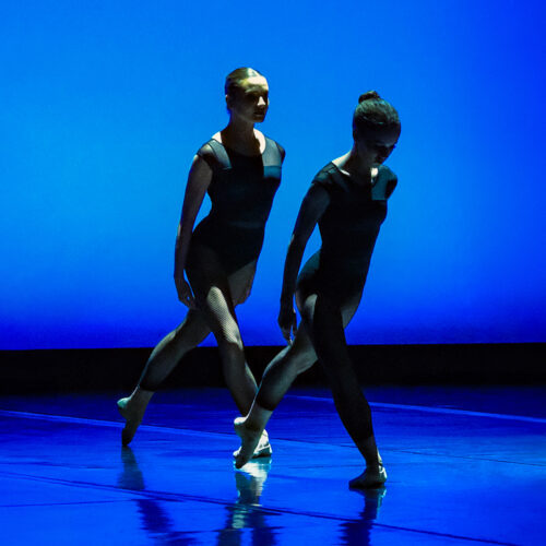 balletto dance company primo vere