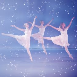 20241008_Nussknacker_Website-Galerie_07 Nussknacker 2024